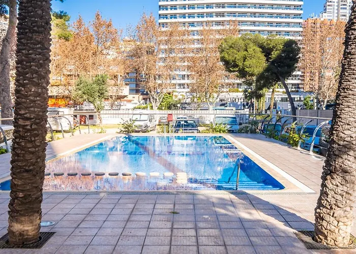 Damas 12-e Levante *